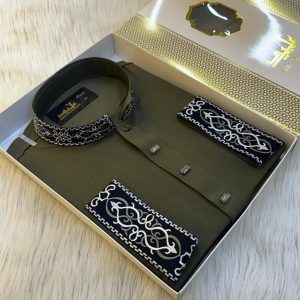 👑 প্রিমিয়াম রাজকীয় মডার্ন পান্জাবি